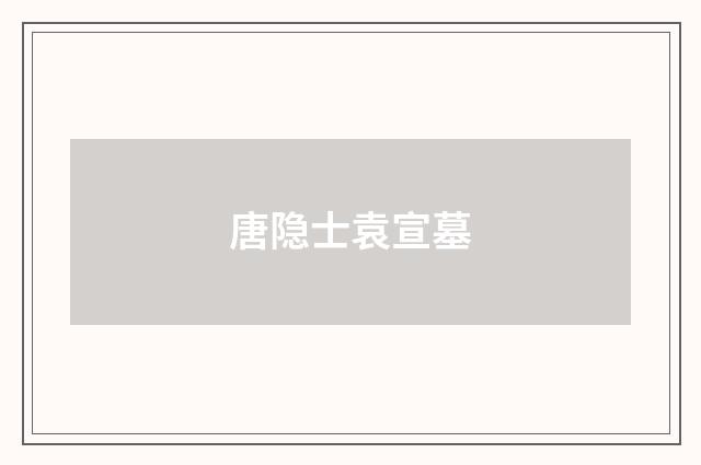唐隐士袁宣墓