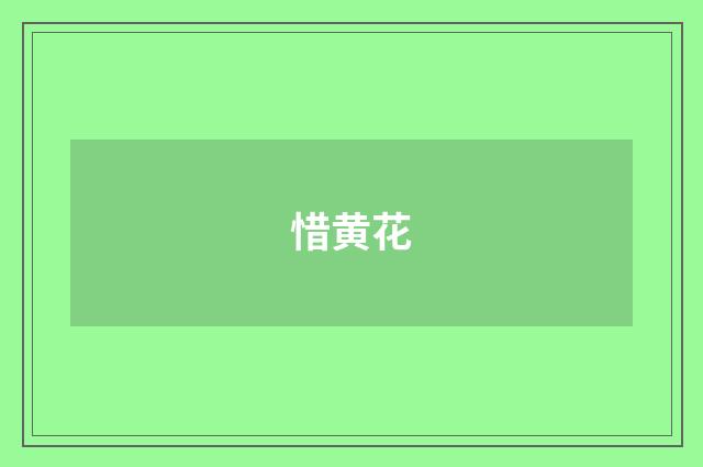 惜黄花