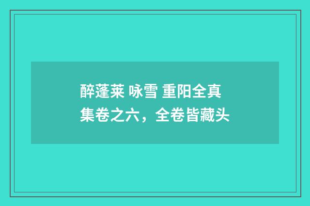 醉蓬莱 咏雪 重阳全真集卷之六，全卷皆藏头