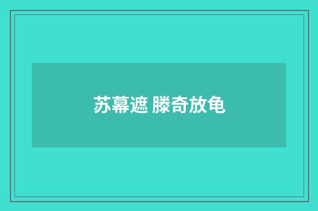 苏幕遮 滕奇放龟