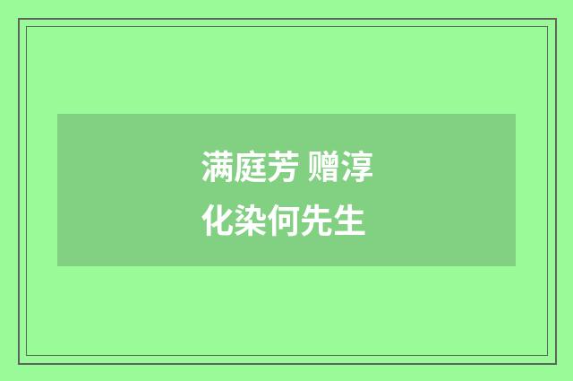 满庭芳 赠淳化染何先生