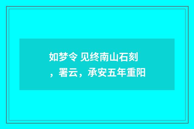如梦令 见终南山石刻，署云，承安五年重阳