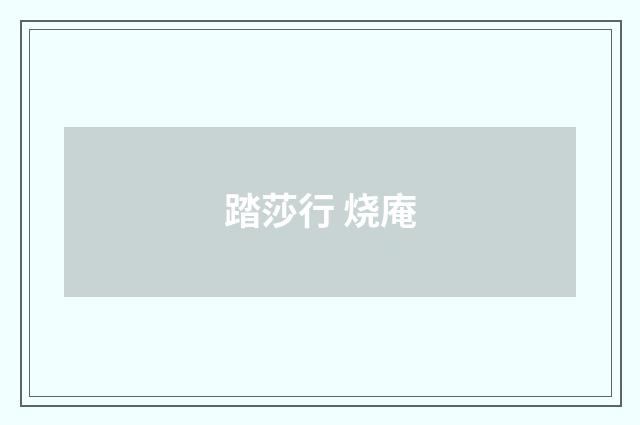 踏莎行 烧庵