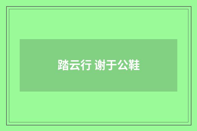踏云行 谢于公鞋