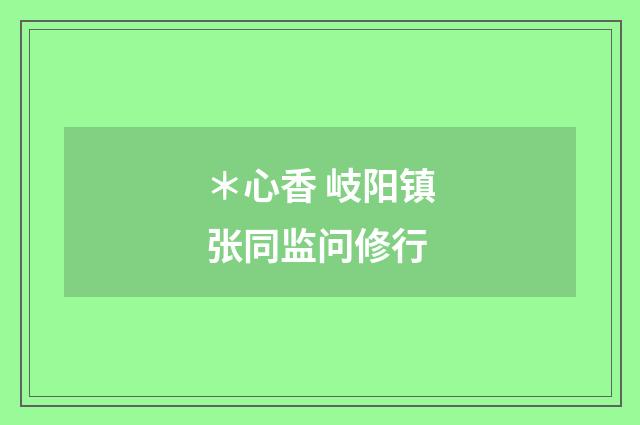 ＊心香 岐阳镇张同监问修行