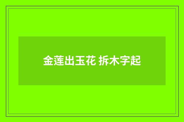 金莲出玉花 拆木字起