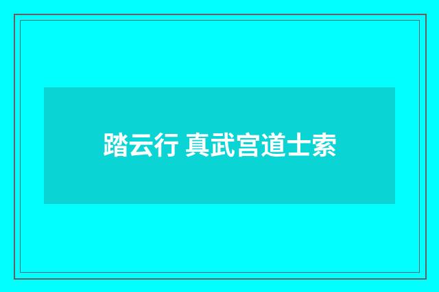 踏云行 真武宫道士索