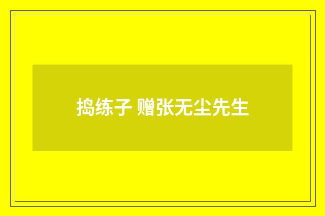 捣练子 赠张无尘先生