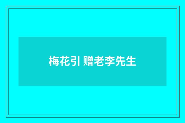 梅花引 赠老李先生