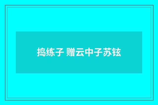 捣练子 赠云中子苏铉
