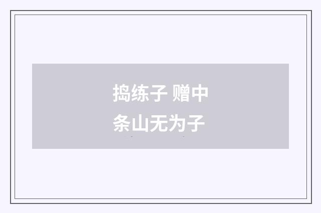 捣练子 赠中条山无为子