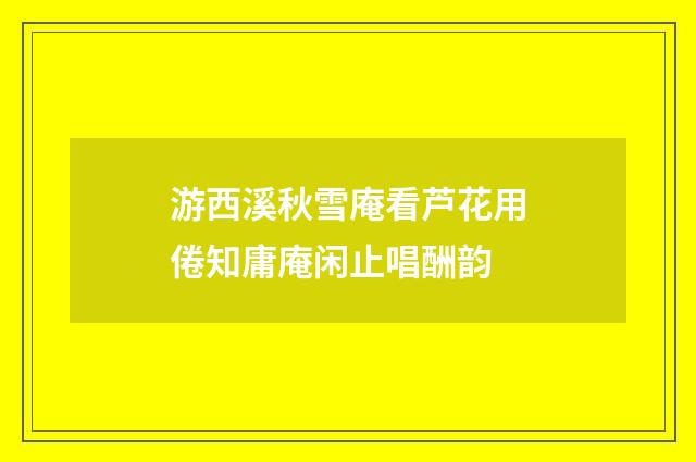 游西溪秋雪庵看芦花用倦知庸庵闲止唱酬韵