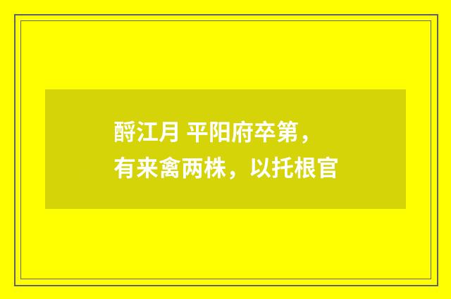 酹江月 平阳府卒第，有来禽两株，以托根官
