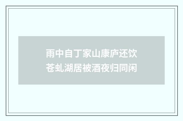 雨中自丁家山康庐还饮苍虬湖居被酒夜归同闲