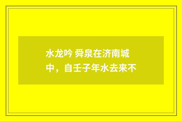 水龙吟 舜泉在济南城中，自壬子年水去来不