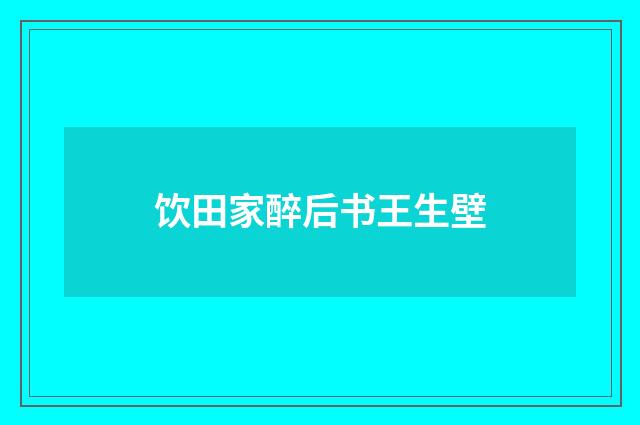 饮田家醉后书王生壁
