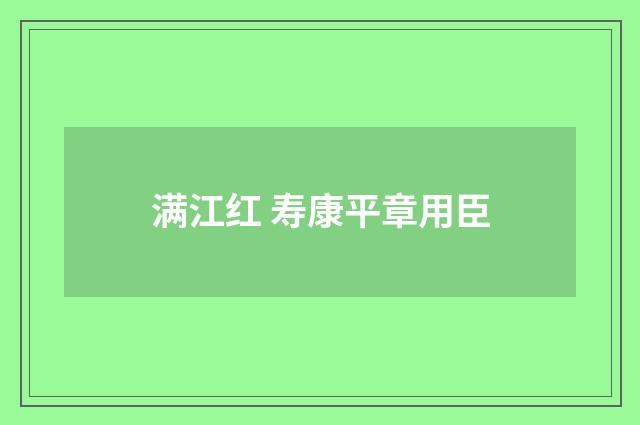 满江红 寿康平章用臣