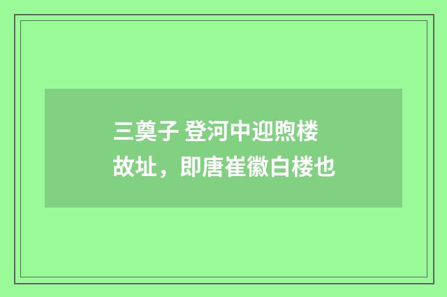 三奠子 登河中迎煦楼故址，即唐崔徽白楼也