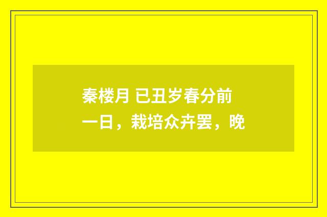 秦楼月 已丑岁春分前一日，栽培众卉罢，晚