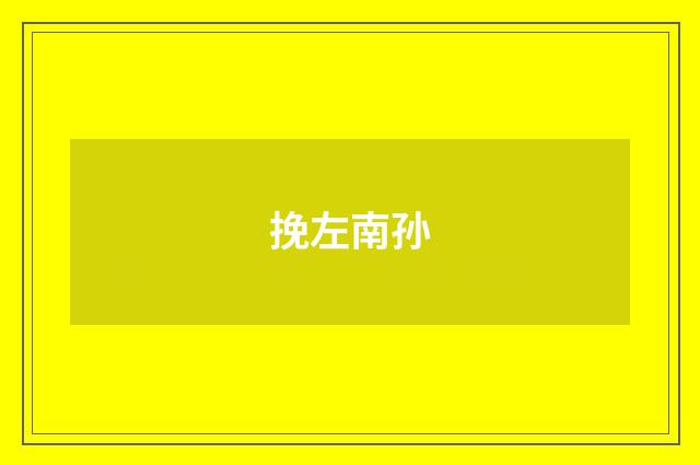 挽左南孙
