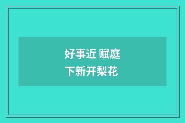 好事近 赋庭下新开梨花