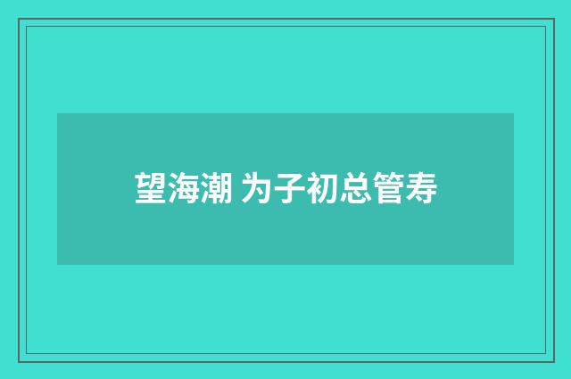 望海潮 为子初总管寿