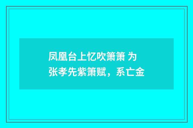 凤凰台上忆吹箫箫 为张孝先紫箫赋，系亡金