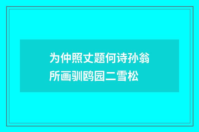 为仲照丈题何诗孙翁所画驯鸥园二雪松