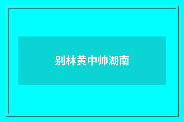别林黄中帅湖南
