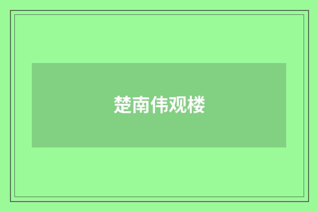 楚南伟观楼