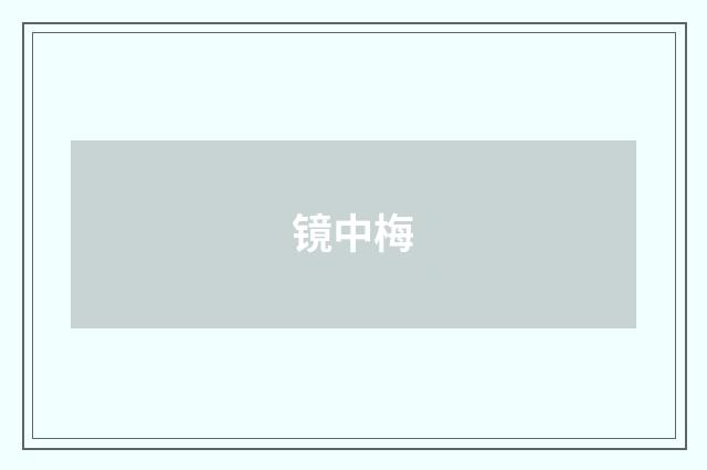 镜中梅