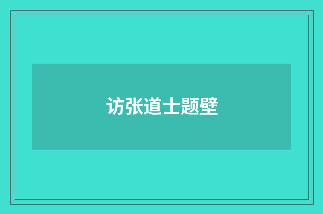 访张道士题壁