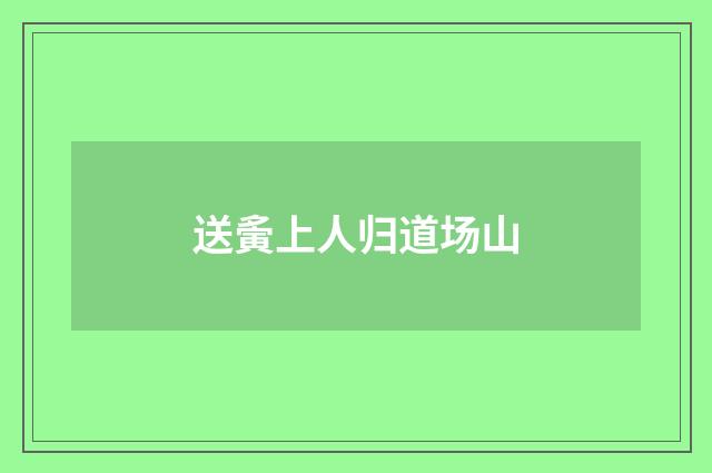 送夤上人归道场山