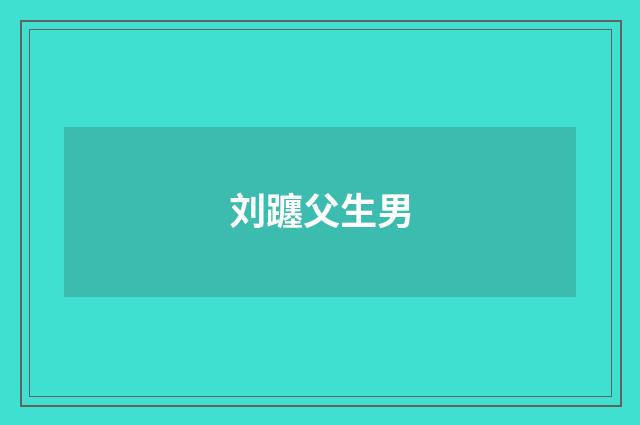 刘躔父生男