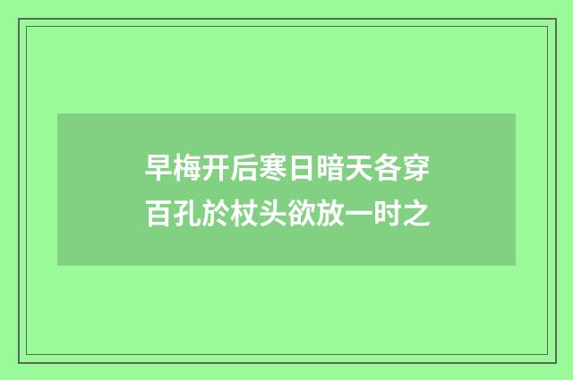 早梅开后寒日暗天各穿百孔於杖头欲放一时之