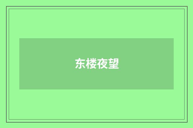 东楼夜望