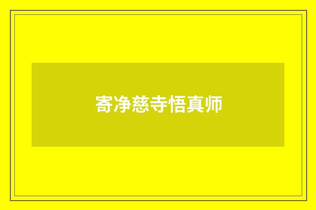 寄净慈寺悟真师