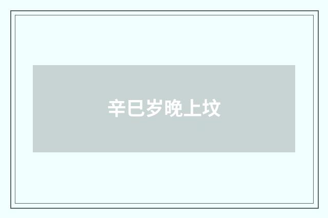 辛巳岁晚上坟