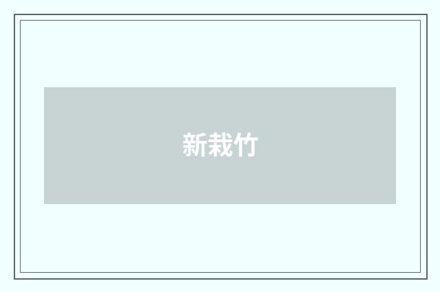新栽竹