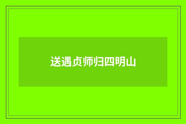 送遇贞师归四明山