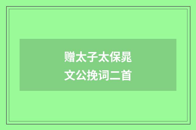 赠太子太保晁文公挽词二首