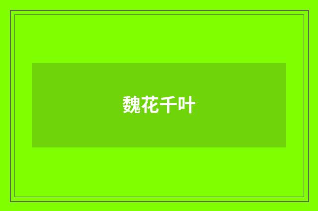 魏花千叶