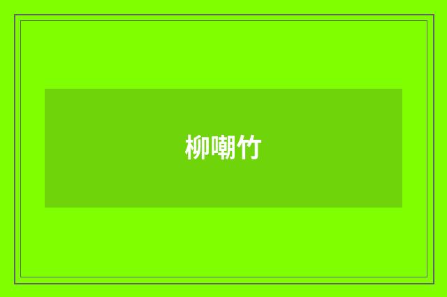 柳嘲竹