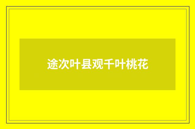 途次叶县观千叶桃花