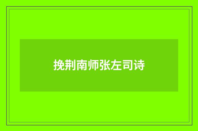 挽荆南师张左司诗