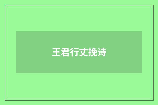 王君行丈挽诗