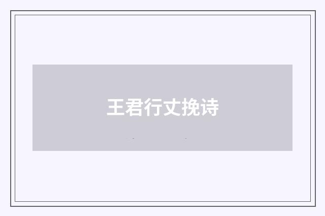 王君行丈挽诗