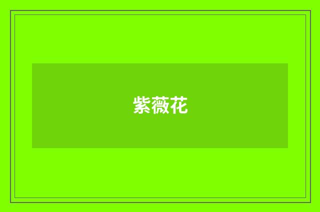 紫薇花