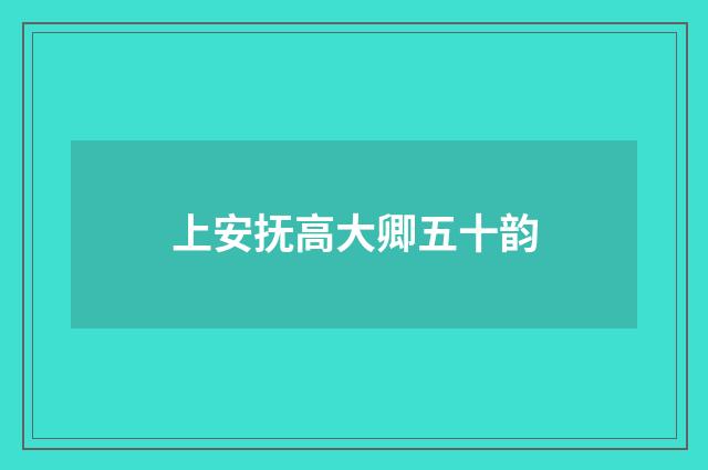 上安抚高大卿五十韵
