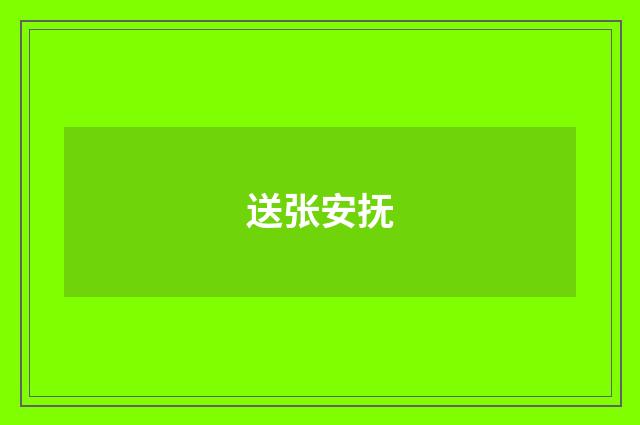 送张安抚
